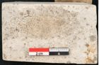 Foto (Detailansicht) von Fagus pygmaea Unger (NHMW-GEO-2024-0188-8116)